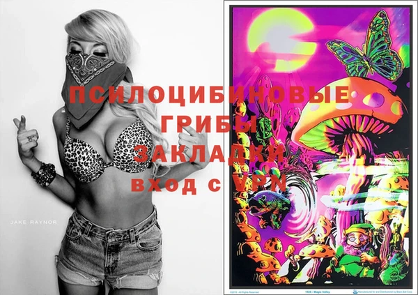 метадон Горняк