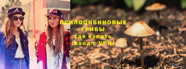 метадон Горняк